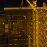 rusty the cat